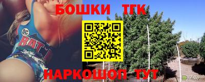 индика Тулун