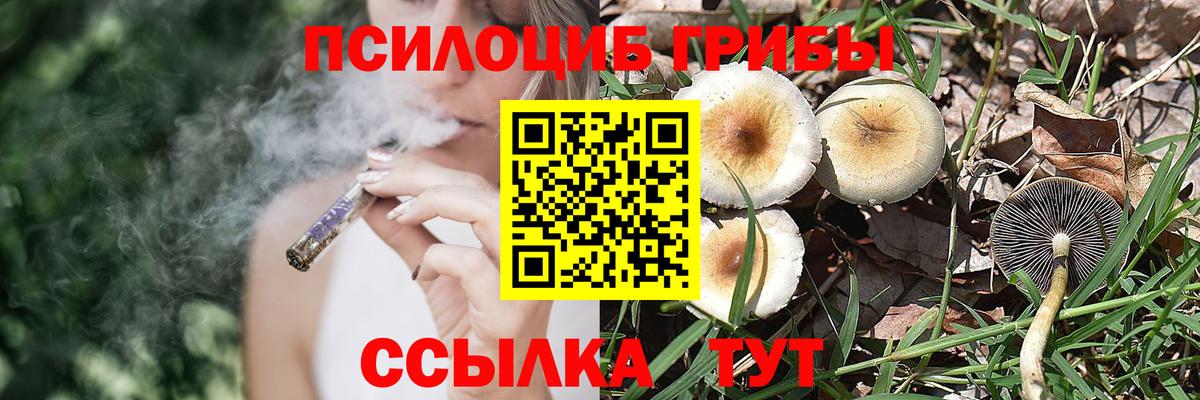 Наро-Фоминск  Галлюциногенные грибы Magic Shrooms  купить наркоту  Вход с VPN  Галлюциногенные грибы MAGIC MUSHROOMS 